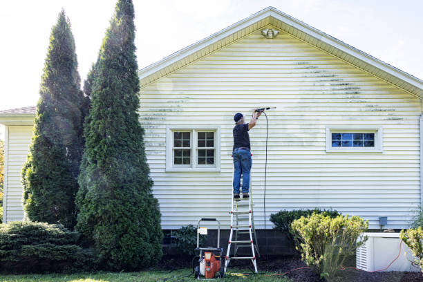 Best Roof Washing  in Rensselaer, IN