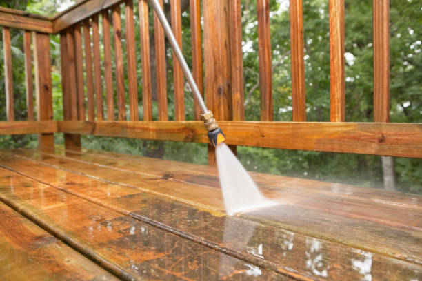 Best House Exterior Washing  in Rensselaer, IN